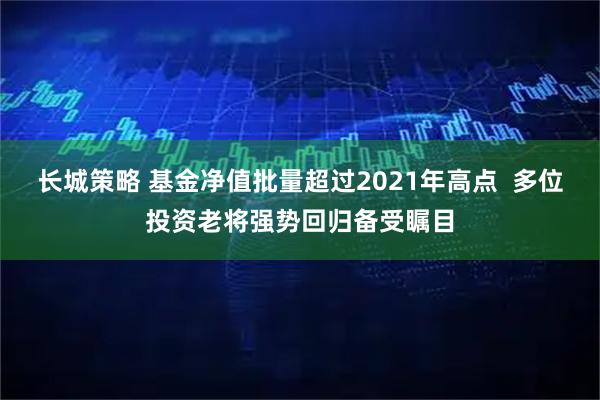 长城策略 基金净值批量超过2021年高点  多位投资老将强势回归备受瞩目