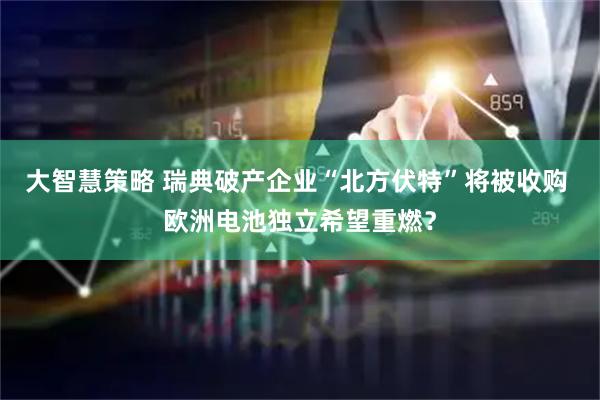 大智慧策略 瑞典破产企业“北方伏特”将被收购 欧洲电池独立希望重燃？