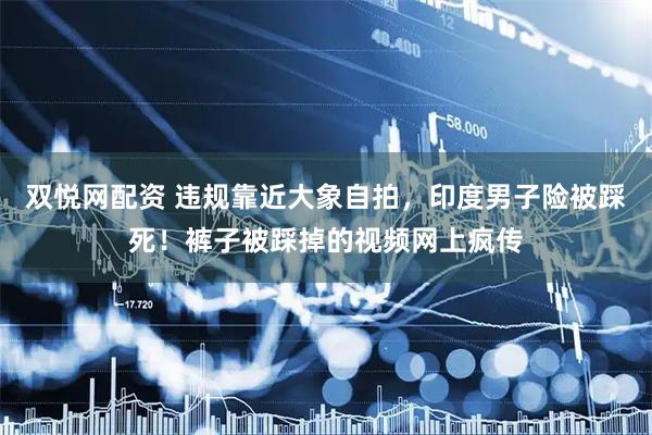 双悦网配资 违规靠近大象自拍，印度男子险被踩死！裤子被踩掉的视频网上疯传
