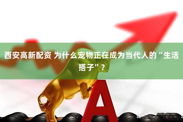 西安高新配资 为什么宠物正在成为当代人的“生活搭子”？