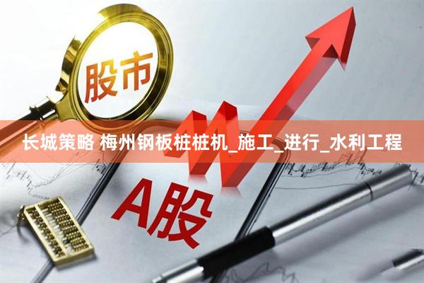 长城策略 梅州钢板桩桩机_施工_进行_水利工程