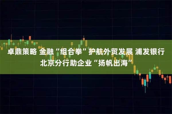 卓鼎策略 金融“组合拳”护航外贸发展 浦发银行北京分行助企业“扬帆出海”