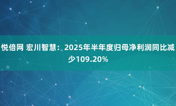 悦倍网 宏川智慧：2025年半年度归母净利润同比减少109.20%