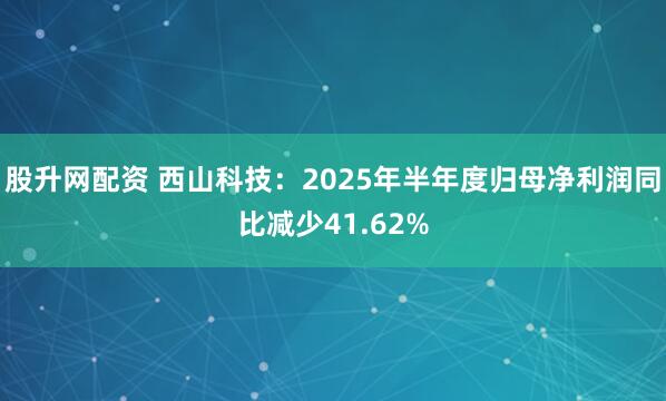 股升网配资 西山科技：2025年半年度归母净利润同比减少41.62%
