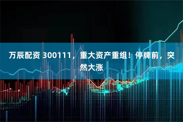 万辰配资 300111，重大资产重组！停牌前，突然大涨