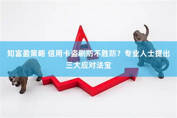 知富盈策略 信用卡盗刷防不胜防？专业人士提出三大应对法宝